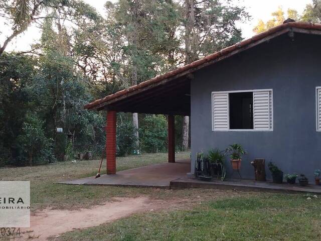 #365 - Chácara para Venda em Itapetininga - SP - 1