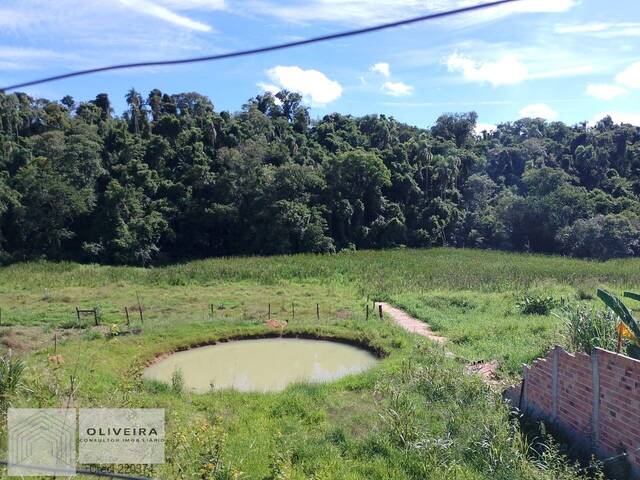 #381 - Chácara para Venda em Alambari - SP