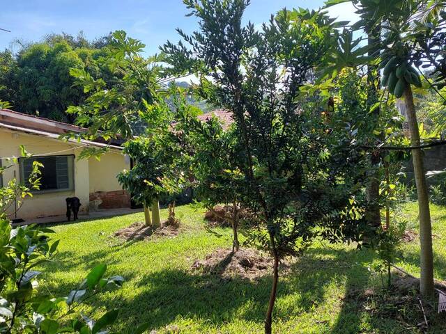 #397 - Chácara para Venda em Araçoiaba da Serra - SP - 2