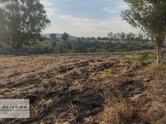 Fazenda para Venda em Itapetininga - 4