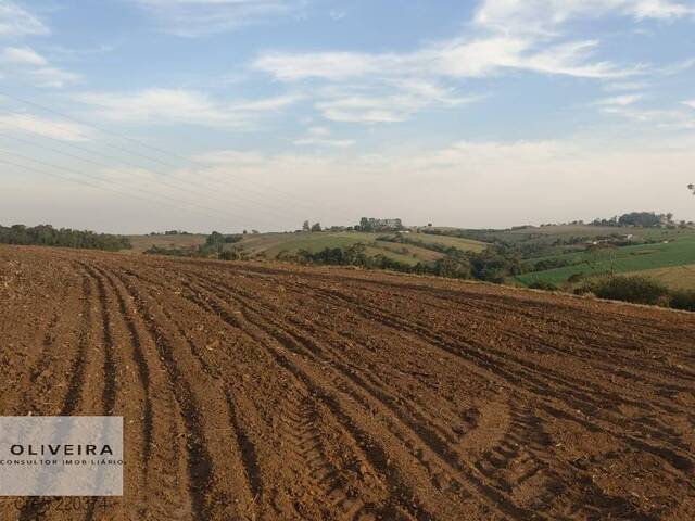 Fazenda para Venda em Itapetininga - 5