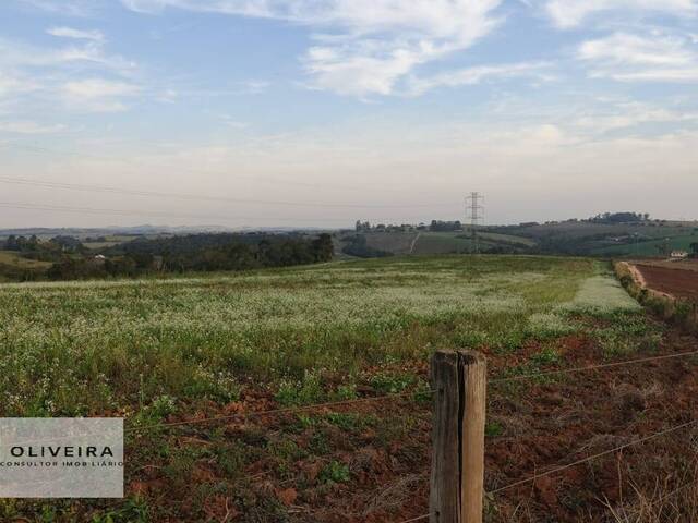 Fazenda para Venda em Itapetininga - 5