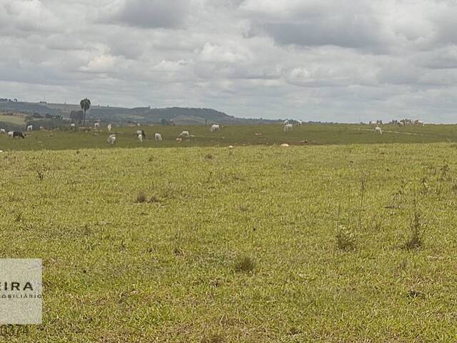 Venda em Cercadinho - Alambari