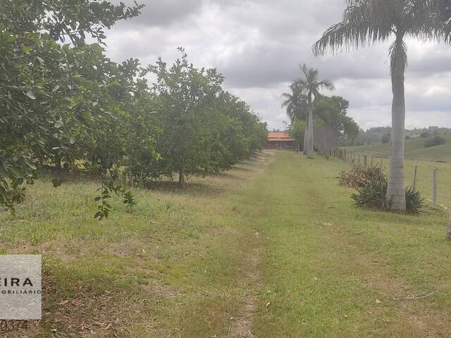 Chácara para Venda em Capela do Alto - 4
