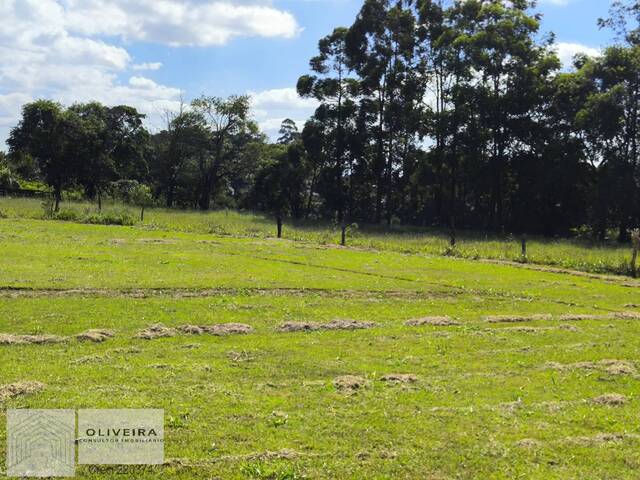 #466 - Chácara para Venda em Angatuba - SP