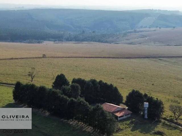 Venda em correias - Piedade