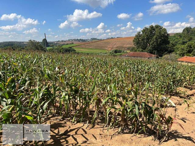 Venda em Vila Moraes - Piedade