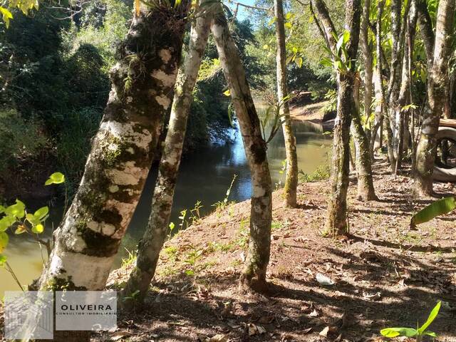 #485 - Chácara para Venda em Sarapuí - SP - 1