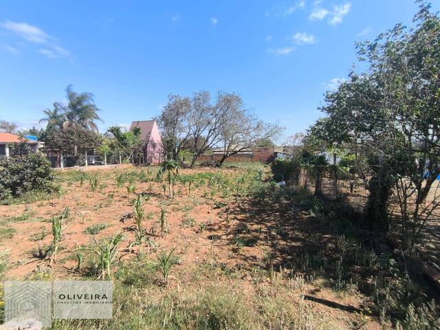 Chácara para Venda em Araçoiaba da Serra - 5