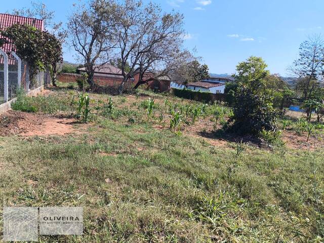 #489 - Chácara para Venda em Araçoiaba da Serra - SP - 2