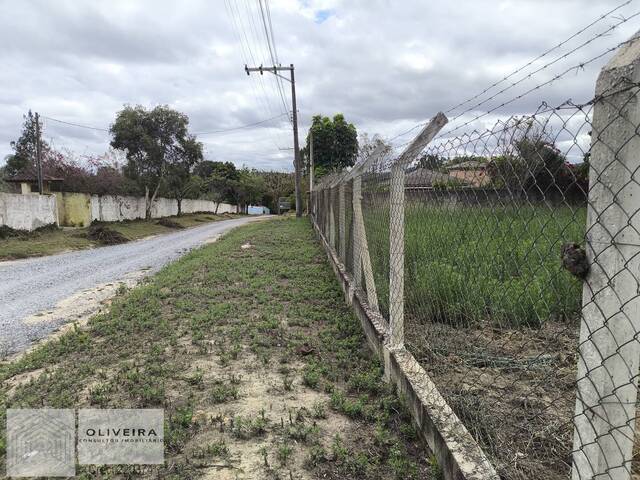 #491 - Área / lotes / Terrenos para Venda em Araçoiaba da Serra - SP - 2