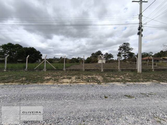 #491 - Área / lotes / Terrenos para Venda em Araçoiaba da Serra - SP - 1