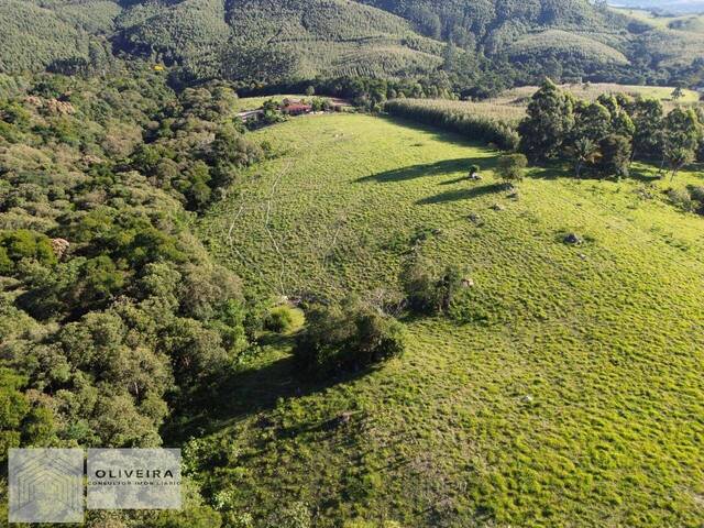 Chácara para Venda em Pilar do Sul - 4