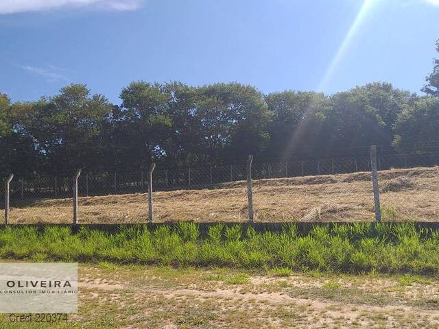 #497 - Área / lotes / Terrenos para Venda em Alambari - SP - 3