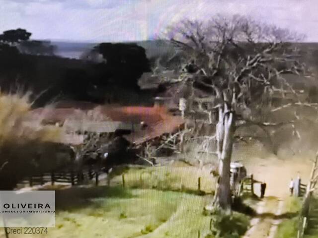 Fazenda para Venda em Angatuba - 4