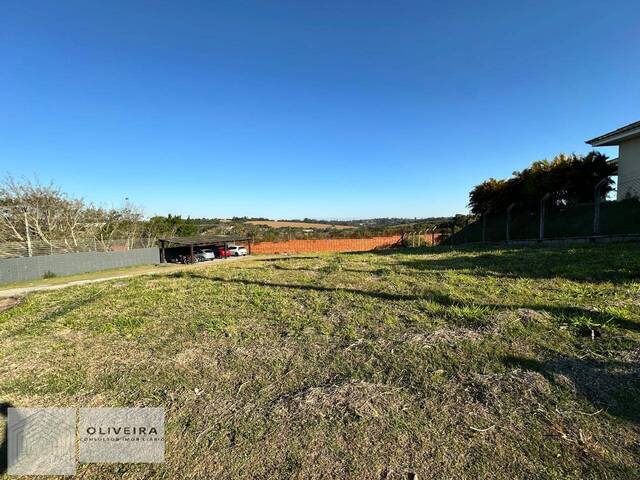 #500 - Área / lotes / Terrenos para Venda em Araçoiaba da Serra - SP - 3