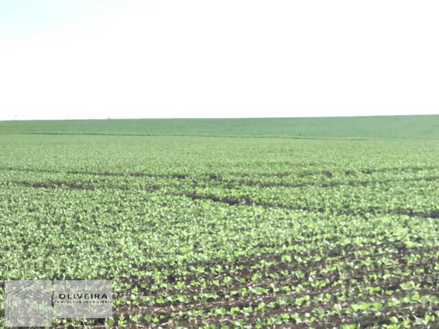 #503 - Fazenda para Venda em Taquarituba - SP