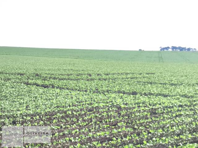 #503 - Fazenda para Venda em Taquarituba - SP