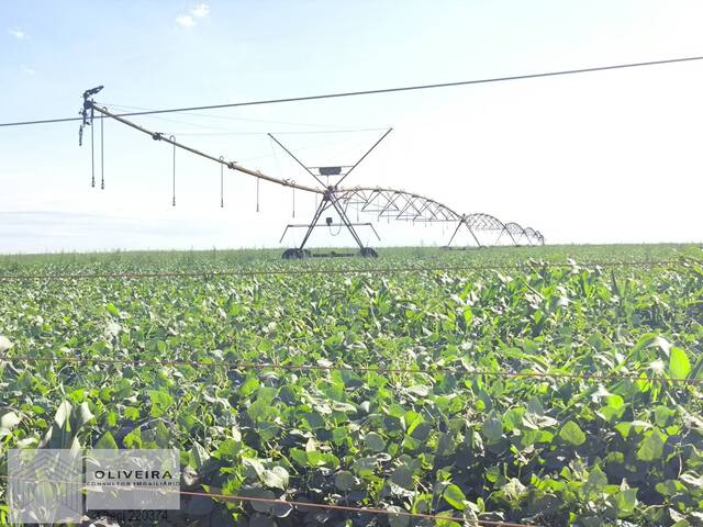 #503 - Fazenda para Venda em Taquarituba - SP