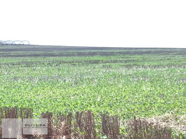 Fazenda para Venda em Itaberá - 5