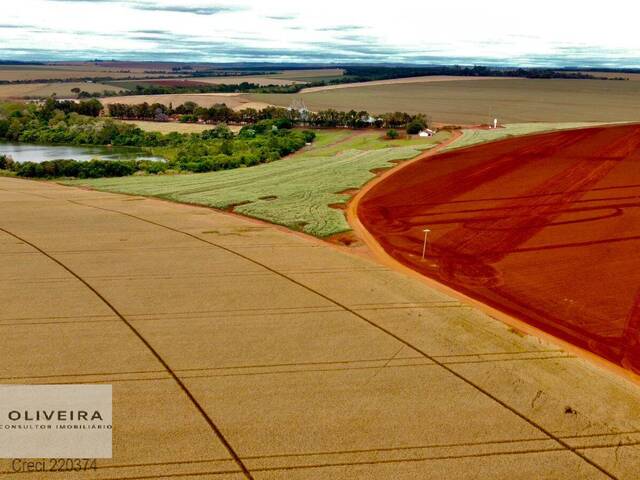 #505 - Chácara para Venda em Itaberá - SP