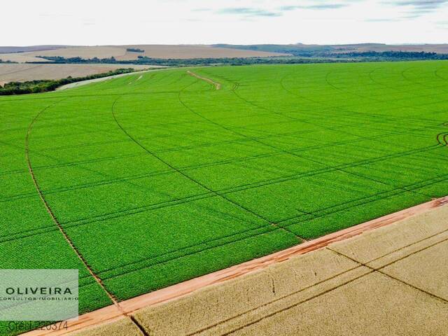 #505 - Chácara para Venda em Itaberá - SP