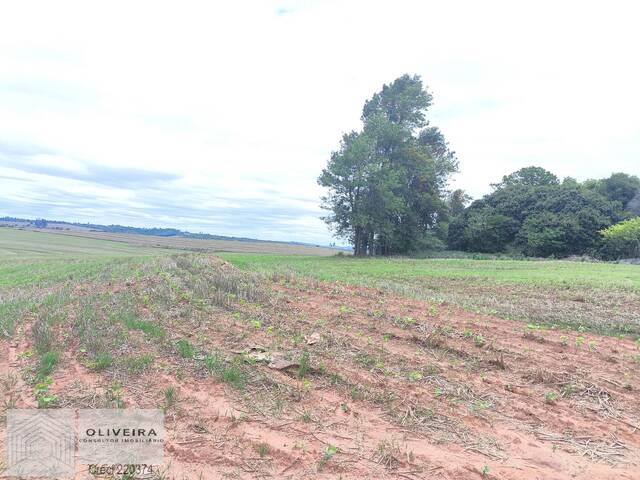 #510 - Fazenda para Venda em Itaporanga - SP