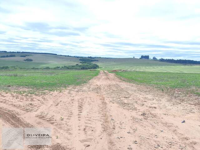 Fazenda para Venda em Itaporanga - 5