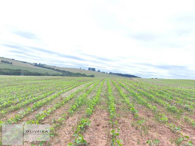 #510 - Fazenda para Venda em Itaporanga - SP