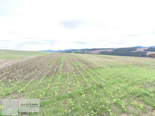 #510 - Fazenda para Venda em Itaporanga - SP