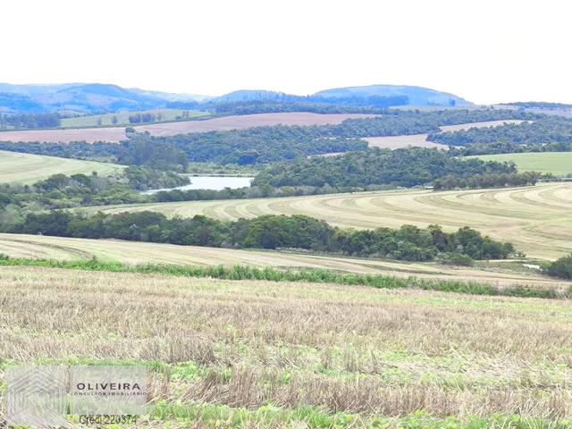 #510 - Fazenda para Venda em Itaporanga - SP