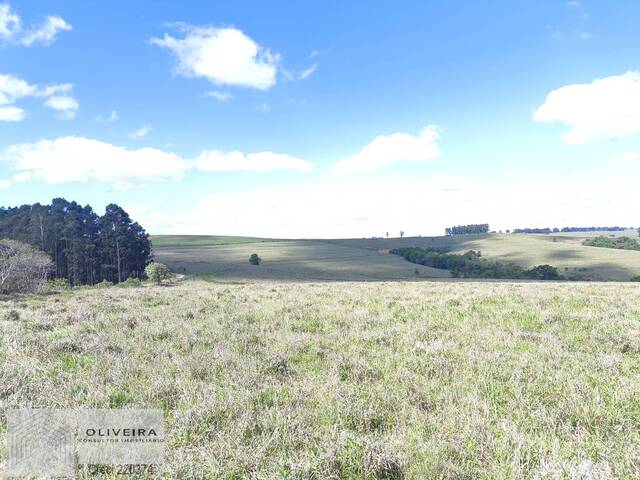 Venda em Centro - Itaporanga