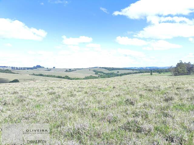 #511 - Fazenda para Venda em Itaporanga - SP - 3