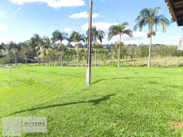 Fazenda para Venda em Riversul - 5