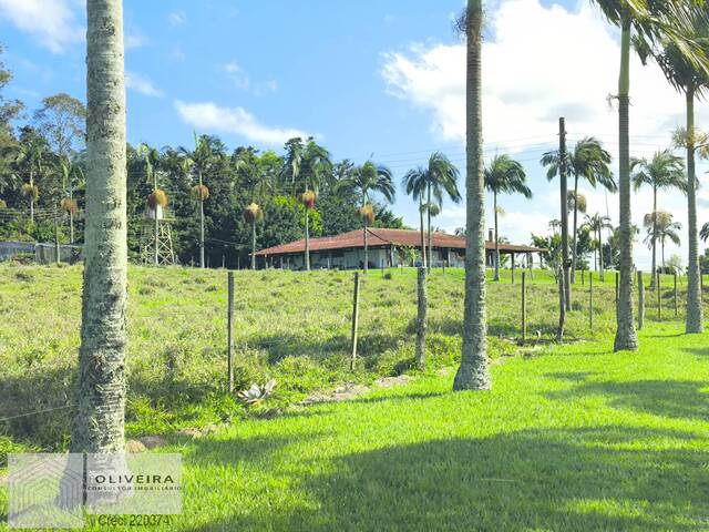 #512 - Fazenda para Venda em Riversul - SP