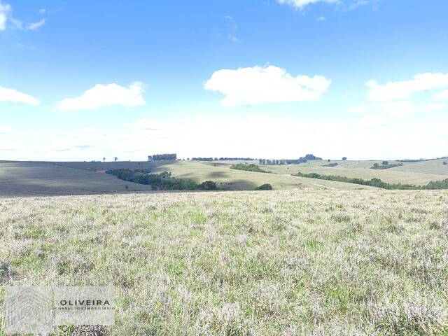 #512 - Fazenda para Venda em Riversul - SP