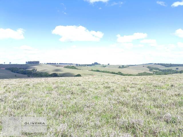 #512 - Fazenda para Venda em Riversul - SP