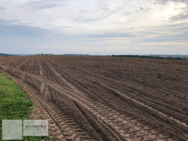 Fazenda para Venda em Alambari - 5