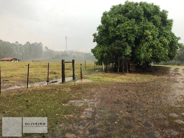 Fazenda para Venda em Alambari - 4