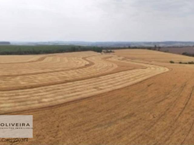 #518 - Fazenda para Venda em Itapetininga - SP - 2
