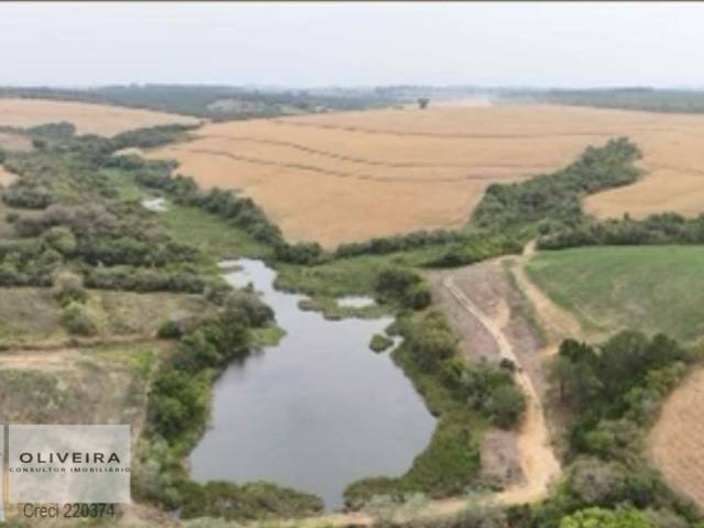 #518 - Fazenda para Venda em Itapetininga - SP - 1