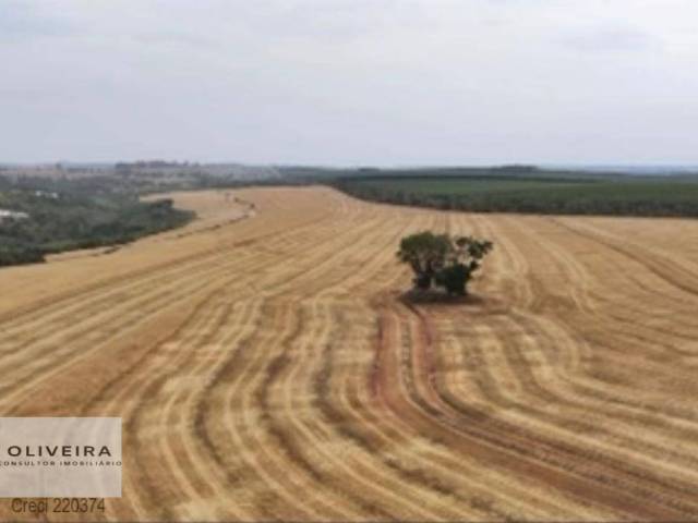 #518 - Fazenda para Venda em Itapetininga - SP - 3
