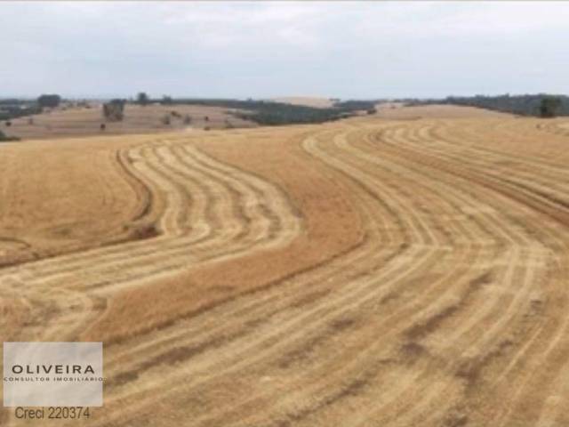 Fazenda para Venda em Itapetininga - 4