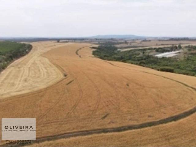 Fazenda para Venda em Itapetininga - 5