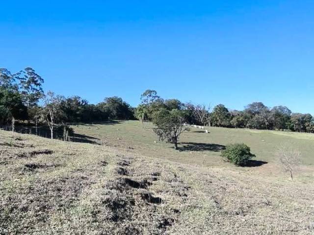 #519 - Sítio para Venda em Angatuba - SP - 3