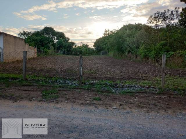 Área / lotes / Terrenos para Venda em Capela do Alto - 4