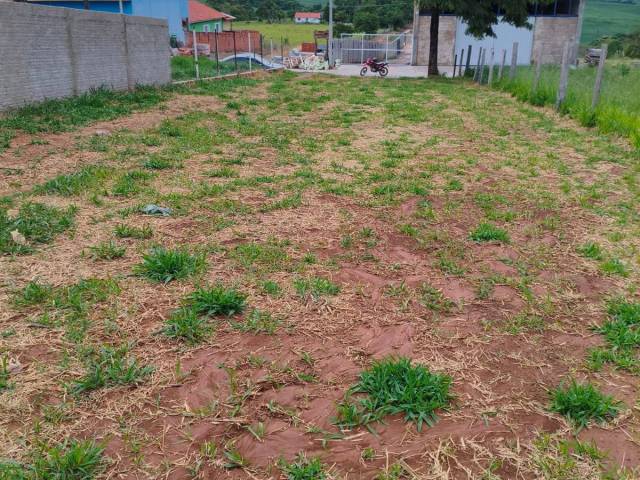 Área / lotes / Terrenos para Venda em Alambari - 5