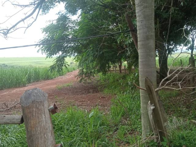 Área / lotes / Terrenos para Venda em Sorocaba - 5