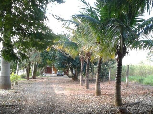 #537 - Chácara para Venda em Porto Feliz - SP