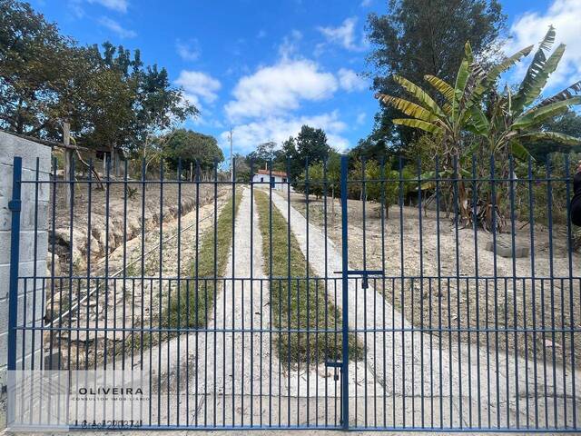 Venda em Leites - Piedade